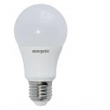 Energetic Lighting Lampa LED E27 12W->75W 2700K 1055lm A67 Frosted