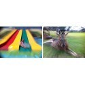 Gizmon Smart Clip + Center Focus filter