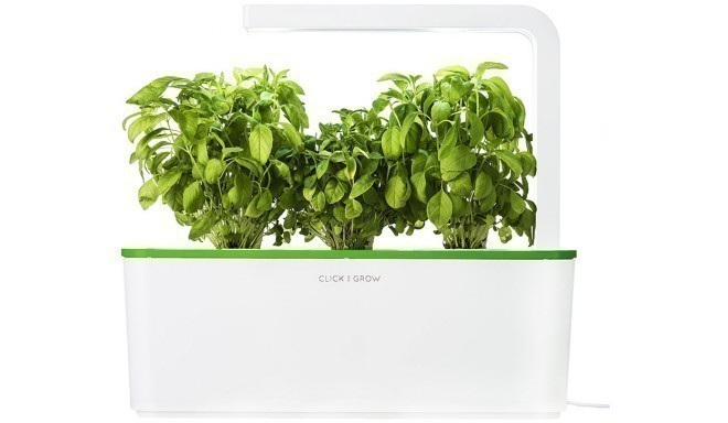 Click & Grow Smart Herb Garden, zaļš