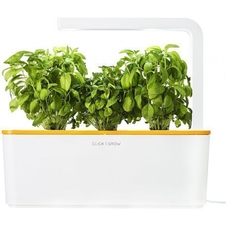 Click & Grow Smart Herb Garden, oranži kaanega