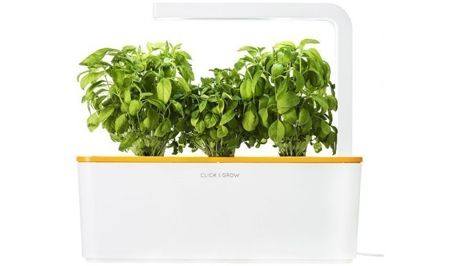 Click & Grow Smart Herb Garden, oranži kaanega