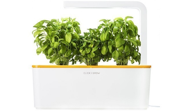 Click & Grow Smart Herb Garden, oranžs