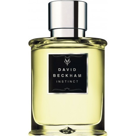 David Beckham Instinct Pour Homme Eau de Toilette 75ml