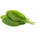 Click & Grow Smart Garden refill Green Sorrel 3pcs