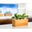 Click & Grow Smart Herb Garden refill Hapuoblikas 3tk