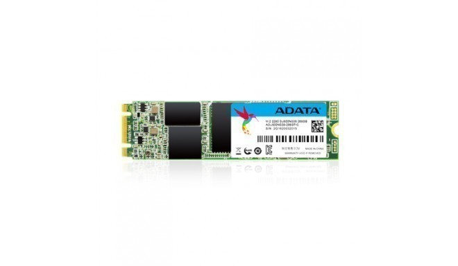 Adata SSD Ultimate 3D NAND SU800 ASU800NS38-2