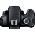 Canon EOS 4000D + Tamron 18-400mm VC