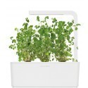 Click & Grow SMart Herb Garden refill Majoraan 3tk
