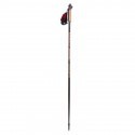 Walking poles Nordic Walking Viking Paras 125 cm 660/16/2121/09 2pcs