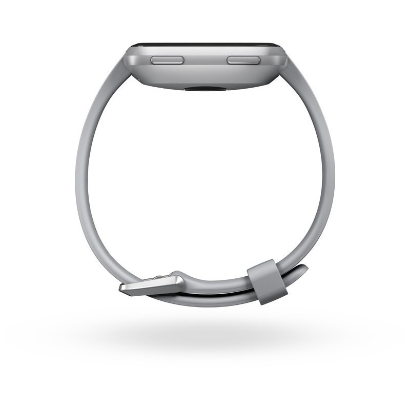 versa fitbit silver