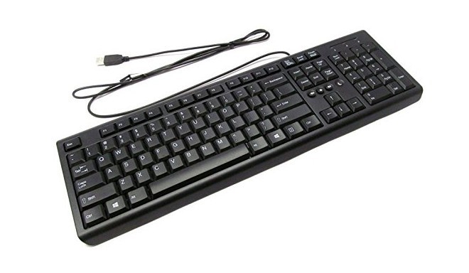 HP Standard USB Keyboard Black US/INT (PR1101U)