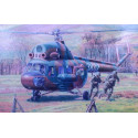  Mi-2T Comman dos Transport