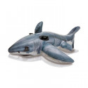 Intex Shark 57525NP