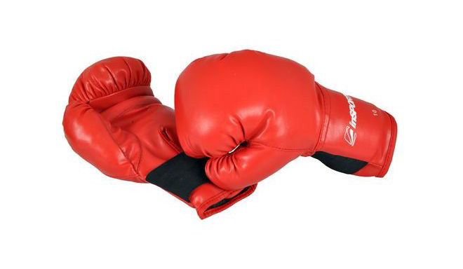 InSPORTline boxing gloves XL