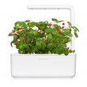 Click & Grow Smart Garden refill Wild Strawberry 3 штуки