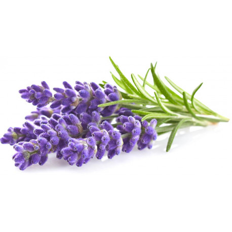 Click & Grow Smart Garden uzpilde Lavanda 3gb.