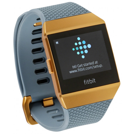 Fitbit Ionic grey/copper - Smartwatches - Photopoint