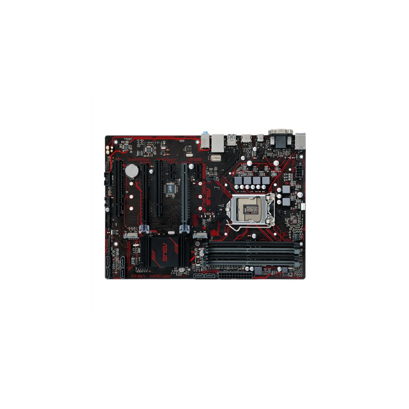 Prime b760 plus d4. Prime b250-Plus. MSI Prime b250-Plus. ASUS b250 Prime Plus инструкция. Распиновка ASUS b250 Plus.