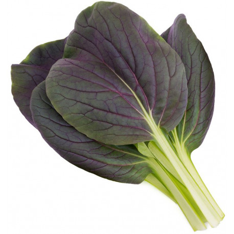 Click & Grow Smart Garden refill Punane Bok Choy 3pcs