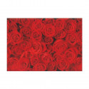 Lesaiņojuma papīrs 2m x 70 cm Red roses