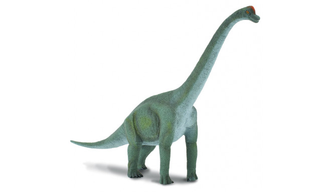 COLLECTA (L) Brachiosaurus 88121
