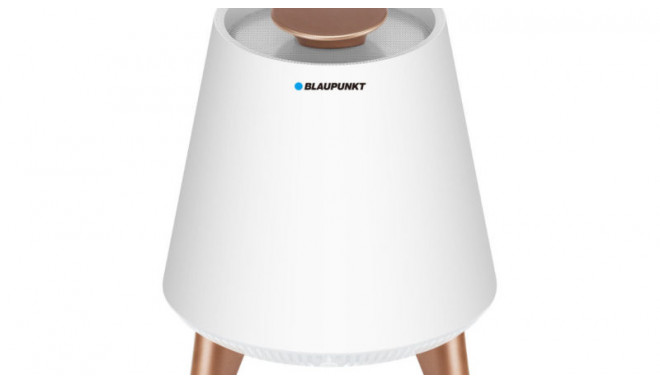 Blaupunkt BT25LAMP