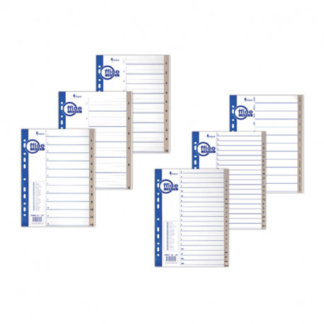 Vahelehed Forpus Maxi A4 plast 1-12 trükitud numbritega