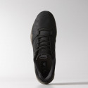 Men's hiking shoes adidas Anzit DLX M18556