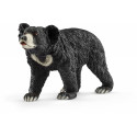 Sloth Bear