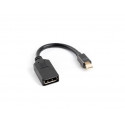 Adapter mini Displaypor (M) -> DisplayPort (F)