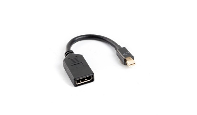 Adapter mini Displaypor (M) -> DisplayPort (F)