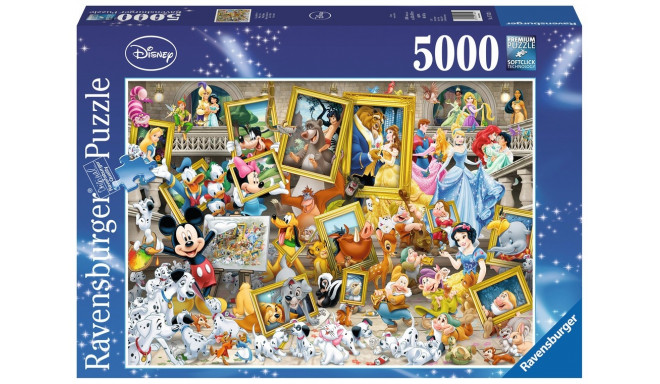 5000 Mickey Artistic Elements