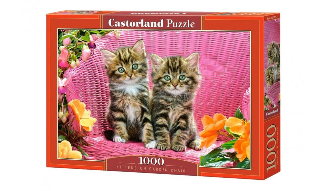 Castorland puzzle Kittens on Garden Chair 1000pcs