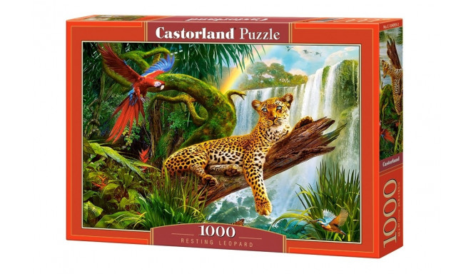 Casorland pusle Puhkav leopard 1000tk