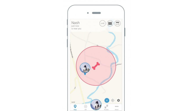Locator for dogs and cats Tractive GPS Tracker dla psów i kotów