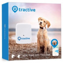Locator for dogs and cats Tractive GPS Tracker dla psów i kotów