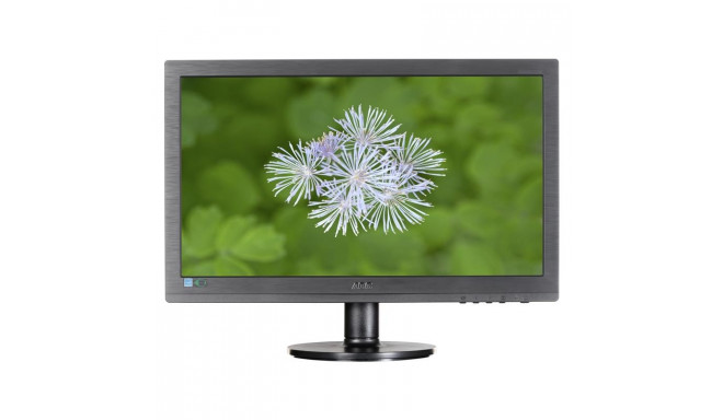 AOC Value-line M2060SWDA2 LED display 49.6 cm (19.5") 1920 x 1080 pixels Full HD Black