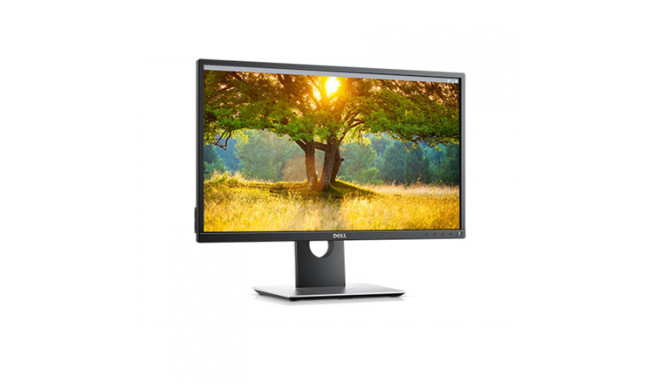 Dell P2417H 23.8 ", IPS, FHD, 1920 x 1080 pix