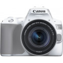 Canon EOS 250D + 18-55mm IS STM Kit, valge