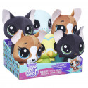 HASBRO LITTLEST PET SHOP Pehme loomake E0352 Jade Catkin