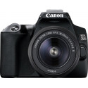 Canon EOS 250D + 18-55mm Kit, must