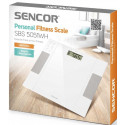 Sencor scale SBS5051WH, white
