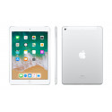 iPad Wi-Fi + Cellular 128GB - Silver 6th gen