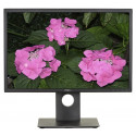 Monitor Dell P2217 210-AJCG (22"; TN; 1680 x 1050; DisplayPort, HDMI, VGA; black color)