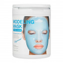 Holika Holika Альгинатная маска для лица Modeling Mask - Peppermint