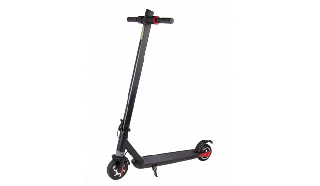 Electric Scooter FS10 Axe