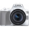 Canon EOS 250D Youtuber Kit, white