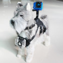 Pet Harness with Support for Sports Camera Black