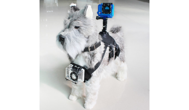 Pet Harness with Support for Sports Camera KSIX Black