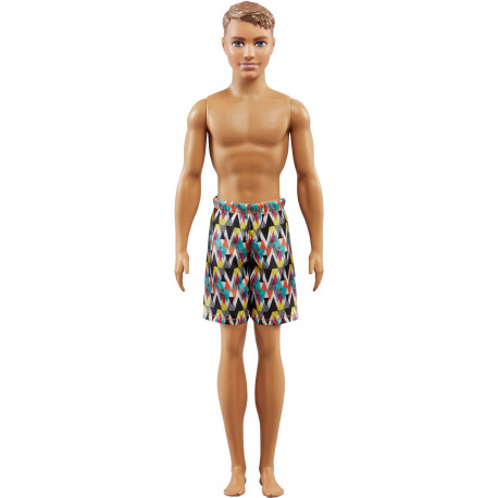 Barbie кукла Beach Ken (FJF09)